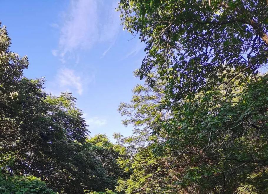 行到尽头云雾起    山至险处自然开 　　行山间道中（两首）